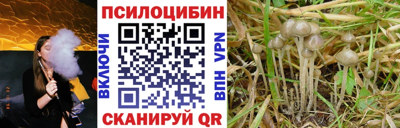 Галлюциногенные грибы Cubensis  Биробиджан 